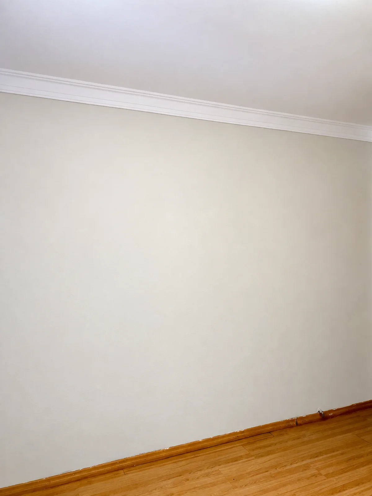 Simulation of the unpainted wall, with white moulding and a wooden floor